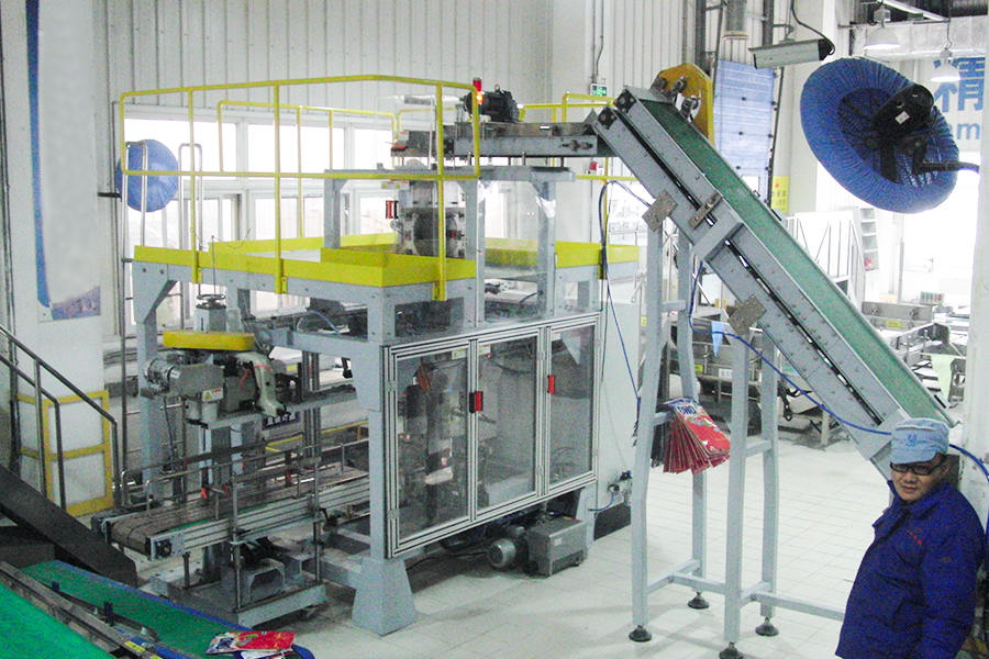 Unilever (Single Warehouse of Secondary Packaging Line) Site)